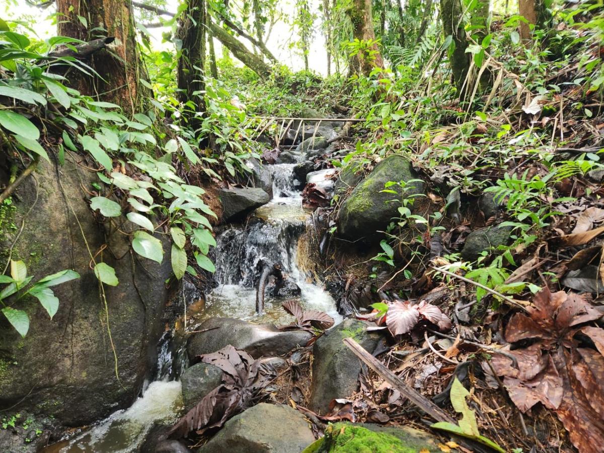 La Pina, Rio Celesteアパートホテル エクステリア 写真